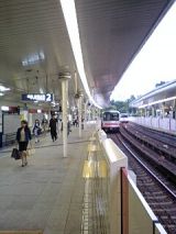25547.jpg
