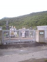 25568-1.jpg