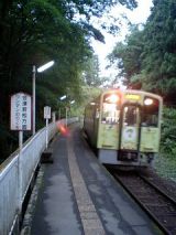 25595.jpg