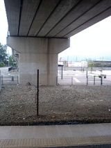 25602-1.jpg