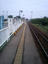 25605-1.jpg