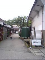25606-1.jpg