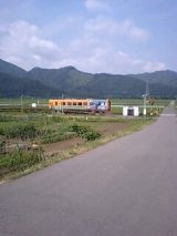 25611.jpg