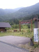 25623-3.jpg