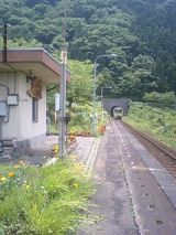 25623.jpg