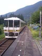 25627.jpg