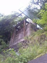 25633-1.jpg