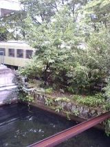 25641-1.jpg