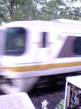 25641.jpg