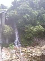 25656-1.jpg