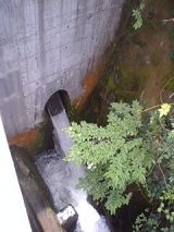 25656-2.jpg