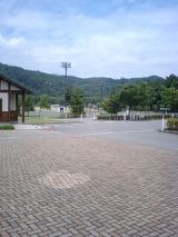 25659-1.jpg