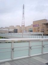 25714-4.jpg