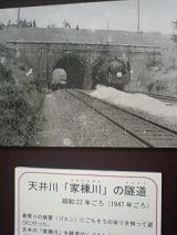 25723-2.jpg