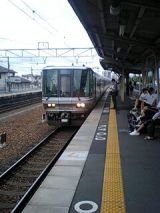 25728.jpg