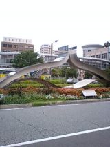 25733-2.jpg