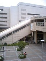 25736-2.jpg