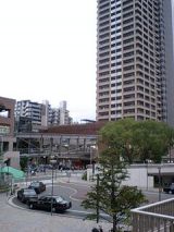 25744-3.jpg
