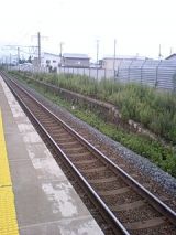 25854-1.jpg