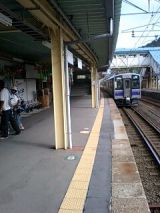 25875.jpg
