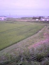 25880-1.jpg