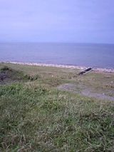 25881-1.jpg