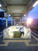 25909.jpg