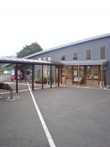 25919-3.jpg