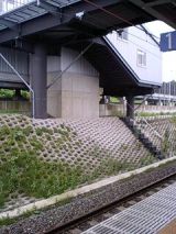 25920-1.jpg