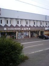 25927-3.jpg