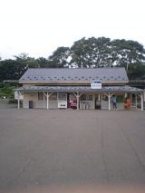 25929-2.jpg