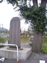 25929-3.jpg
