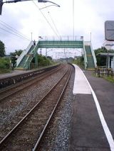 25972-1.jpg