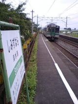 25972.jpg
