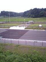 25974-1.jpg