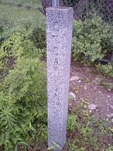 25974-4.jpg