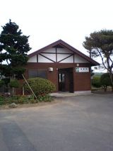 25984-1.jpg