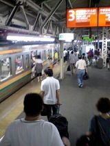25991-1.jpg
