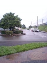 26003-4.jpg