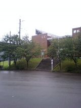 26007-2.jpg
