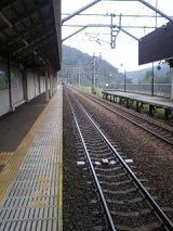 26011-1.jpg