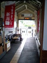 26027-1.jpg