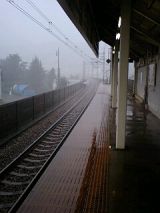26031-1.jpg
