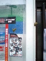 26034-3.jpg