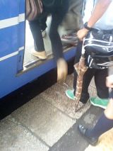 26039-1.jpg