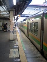 26041.jpg