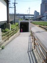 26055-3.jpg