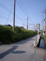26078-2.jpg