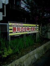 26094-3.jpg