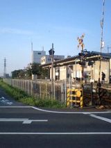 26117-2.jpg